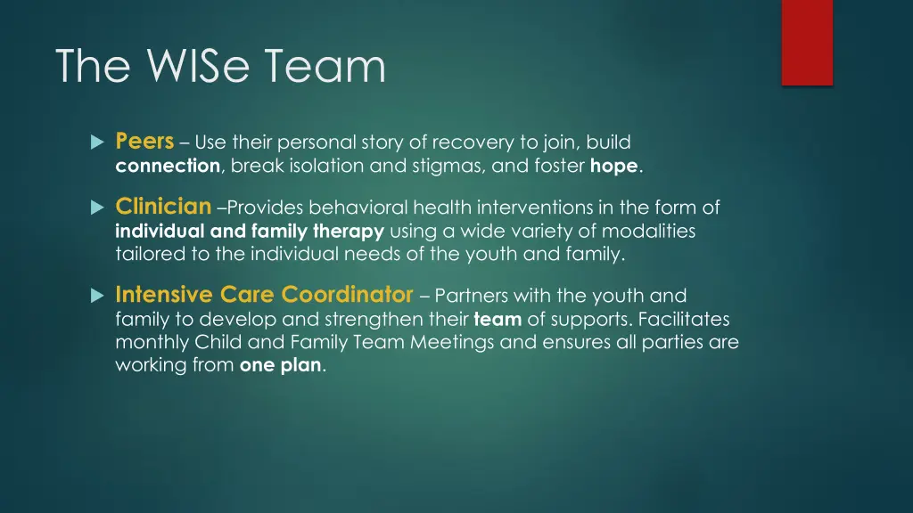 the wise team