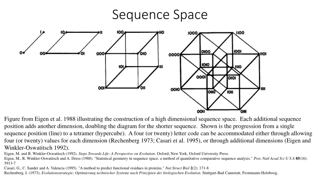 sequence space