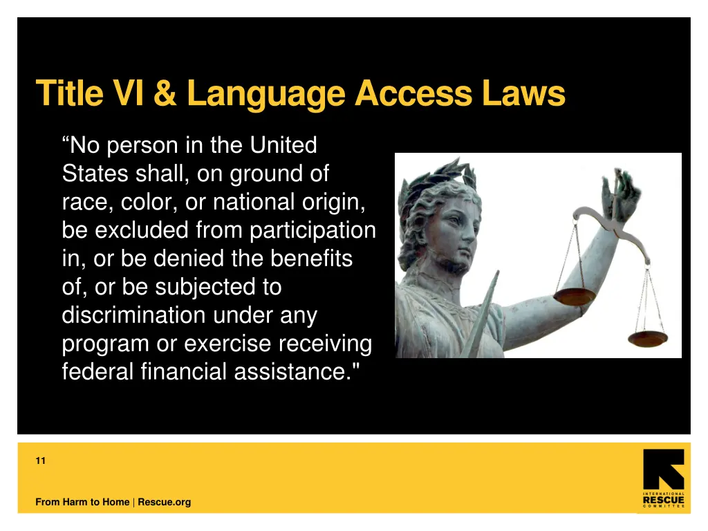 title vi language access laws