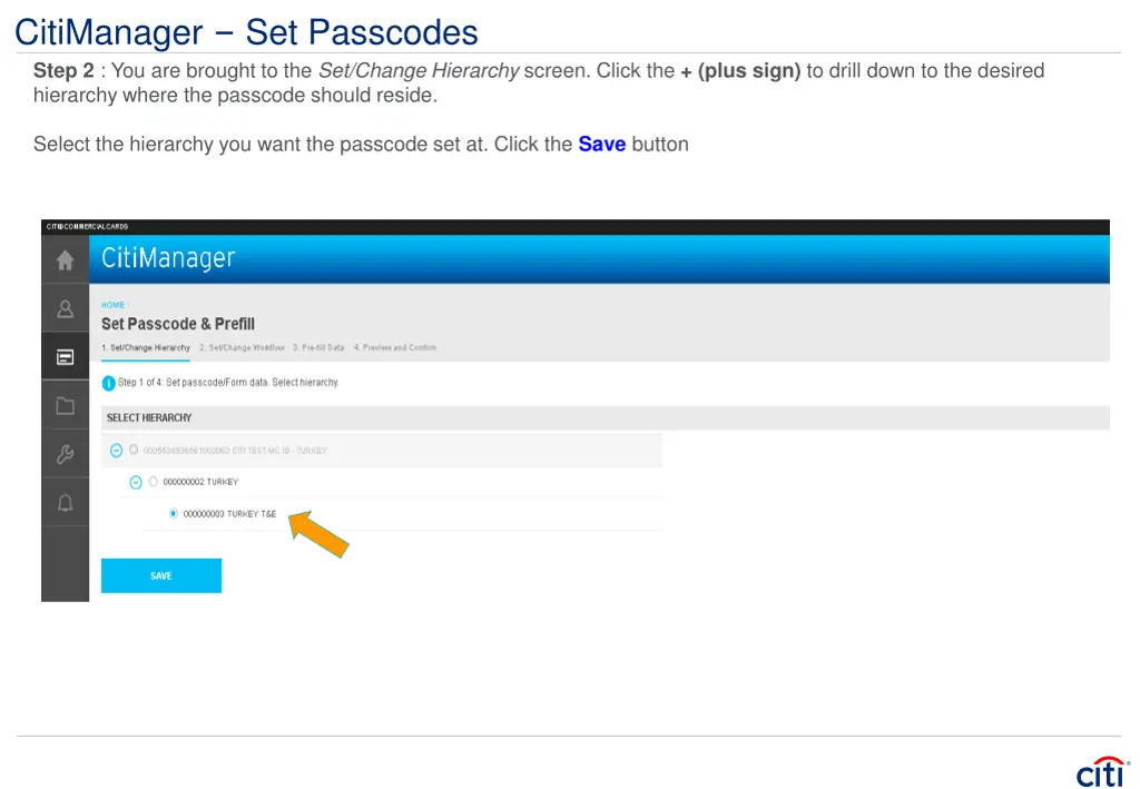 citimanager set passcodes step 2 you are brought