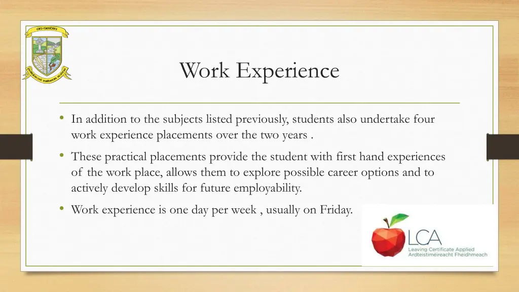 work experience