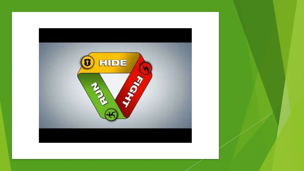 slide17