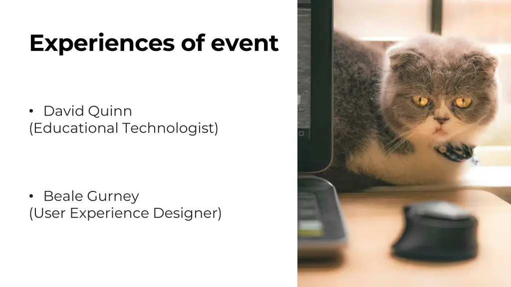 experiences of event