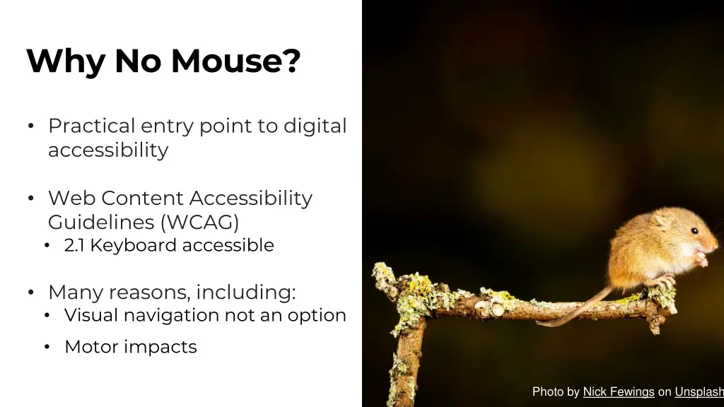 why no mouse