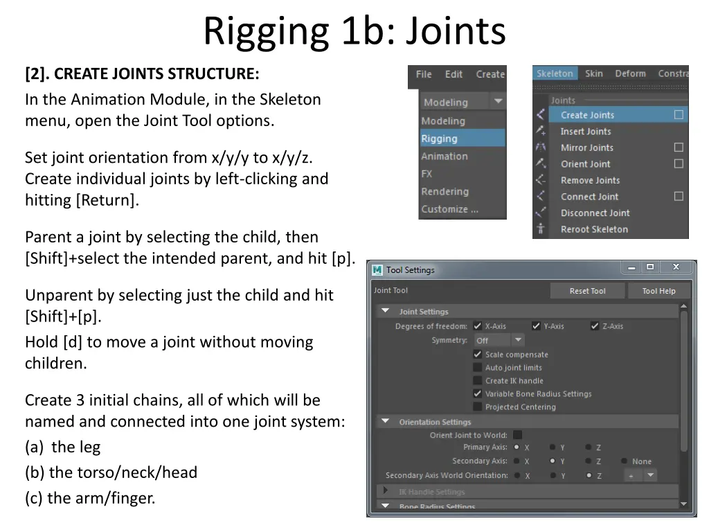 rigging 1b joints
