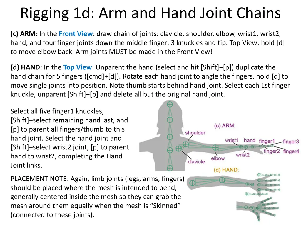 rigging 1d arm and hand joint chains