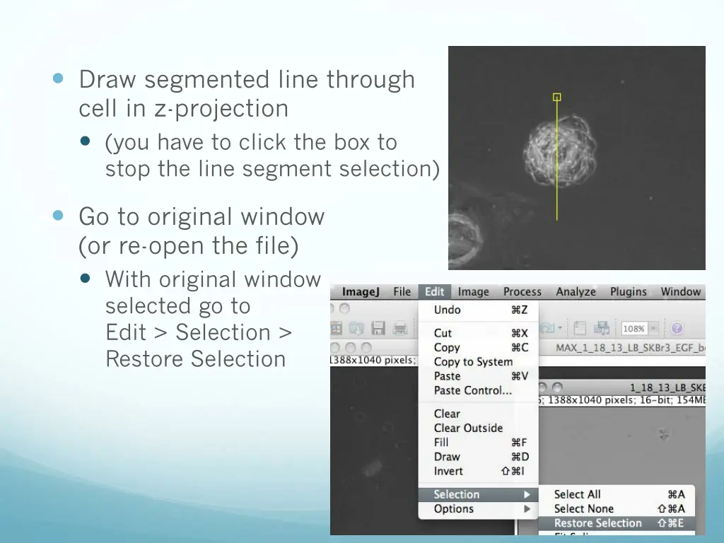 draw segmented line through cell in z projection
