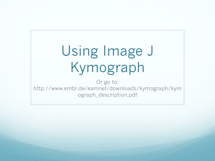using image j kymograph