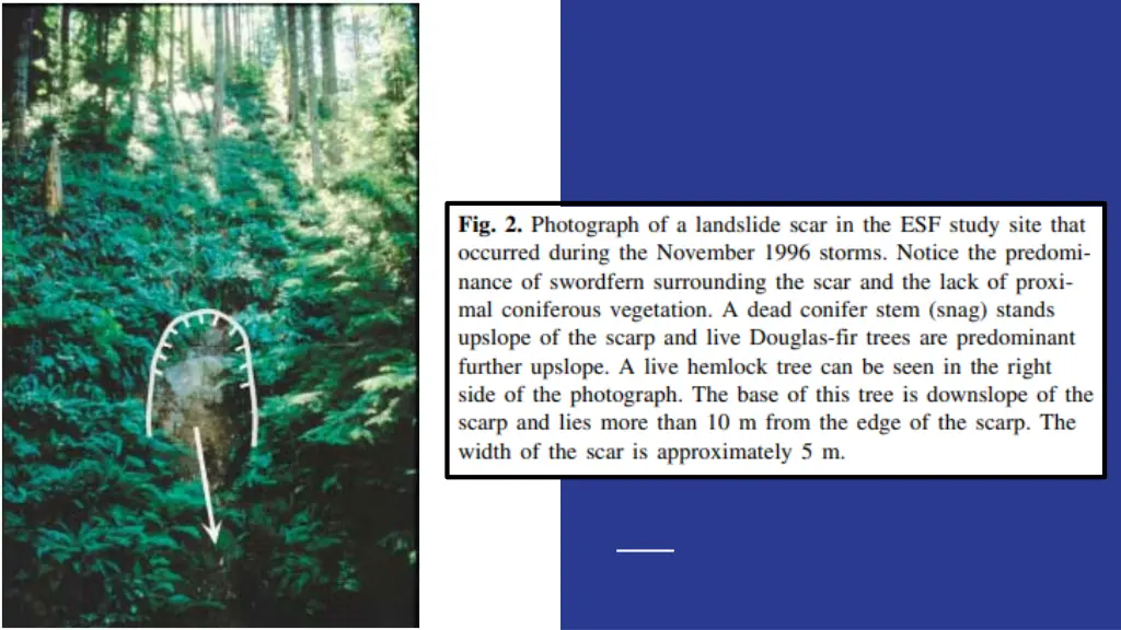 slide21
