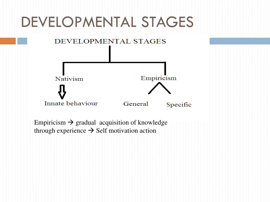 developmental stages