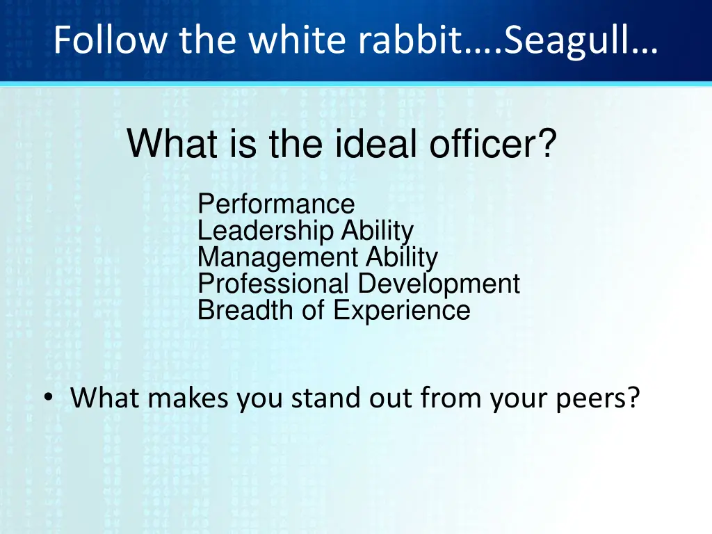follow the white rabbit seagull