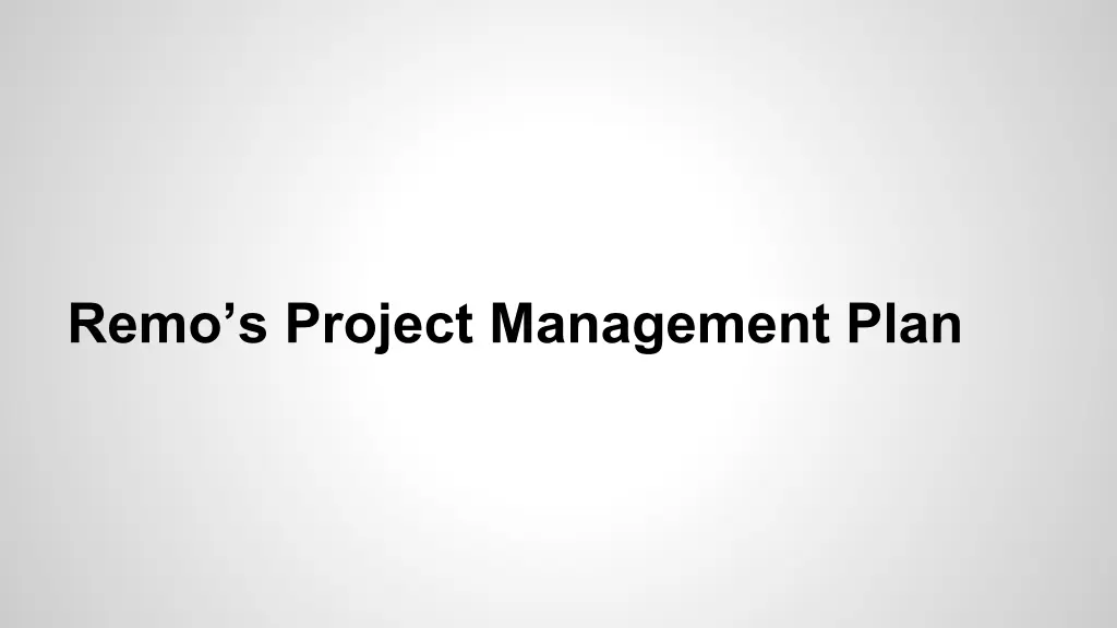 remo s project management plan