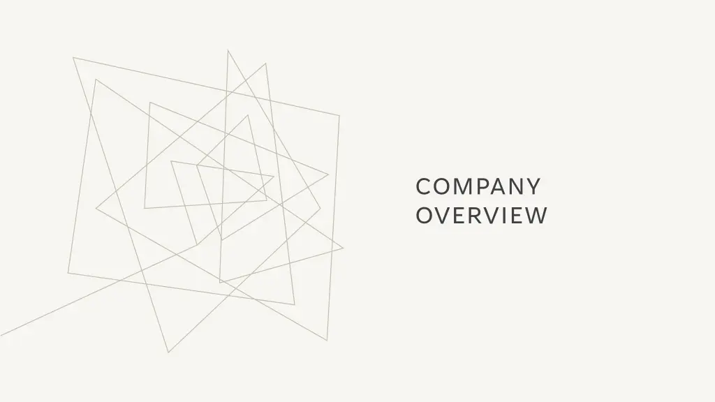 company overview