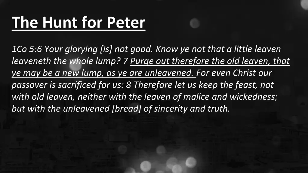 the hunt for peter 2