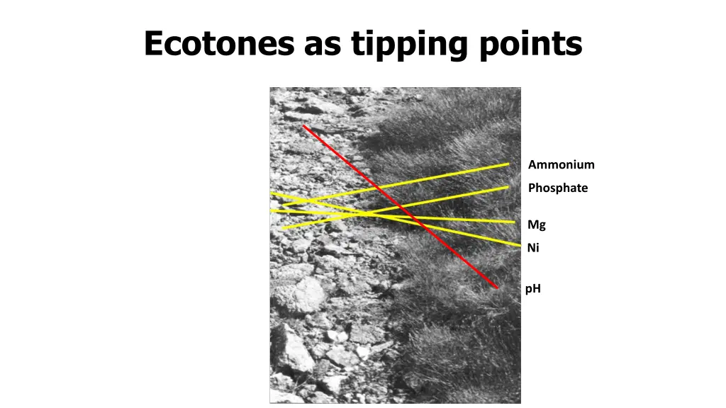 ecotones as tipping points