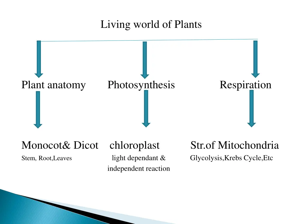 living world of plants