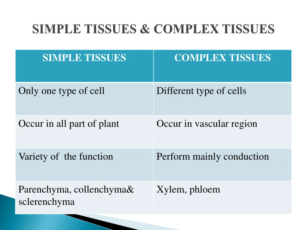 simple tissues
