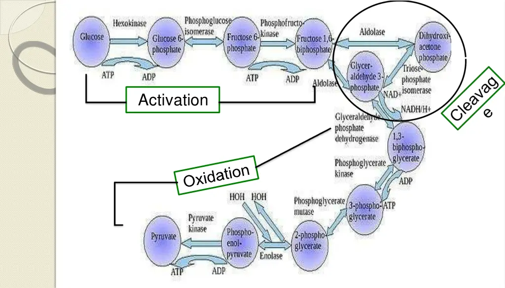 activation