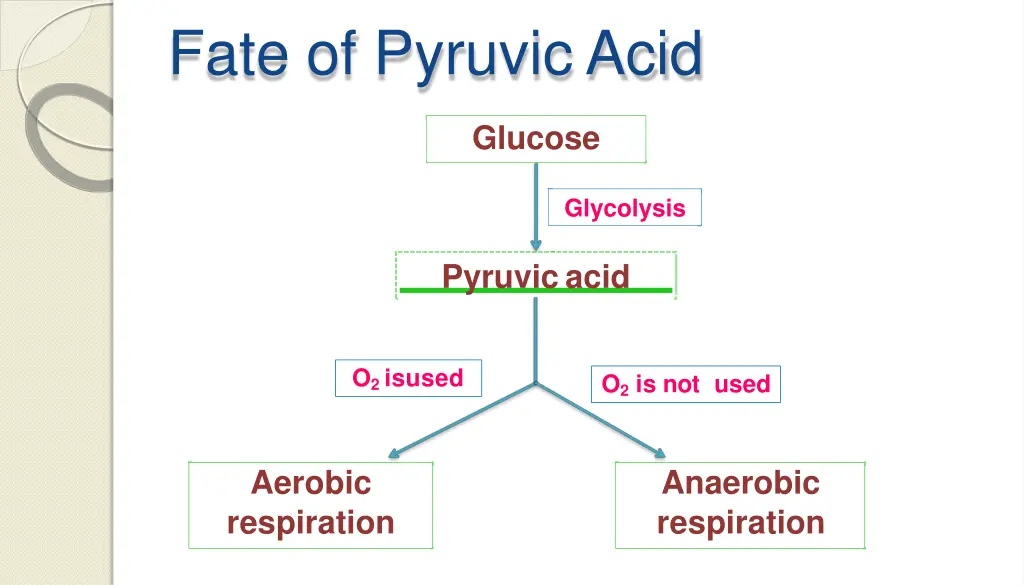 fate of pyruvicacid