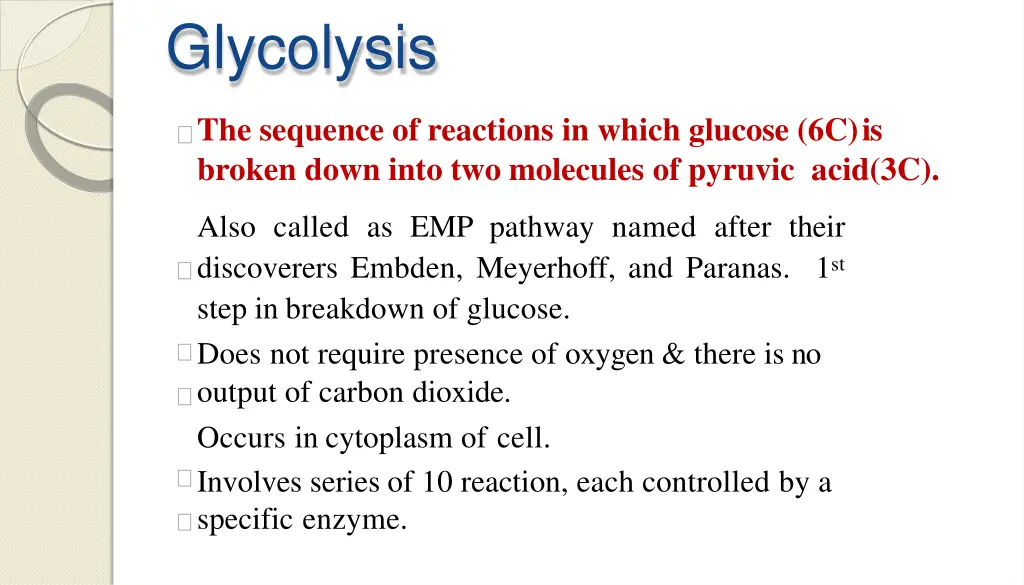 glycolysis