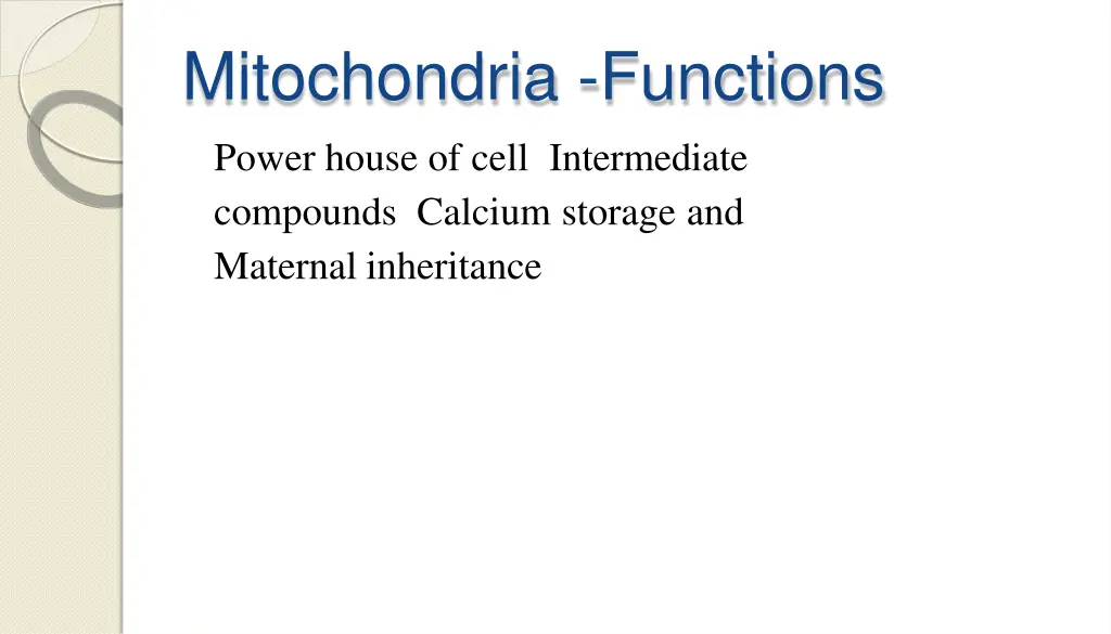 mitochondria functions