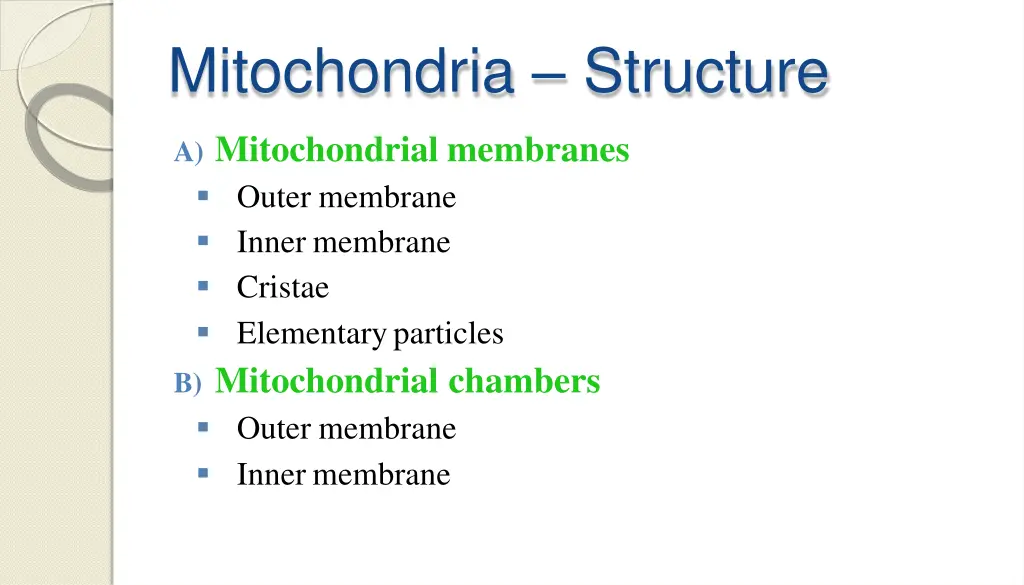 mitochondria structure