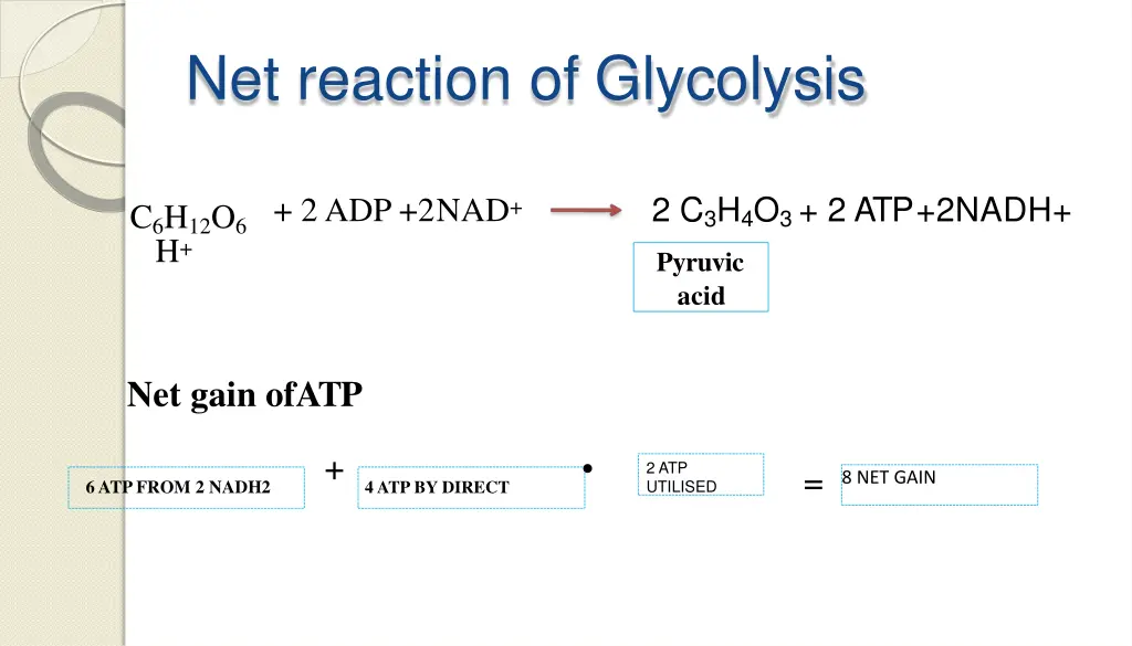 net reaction of glycolysis