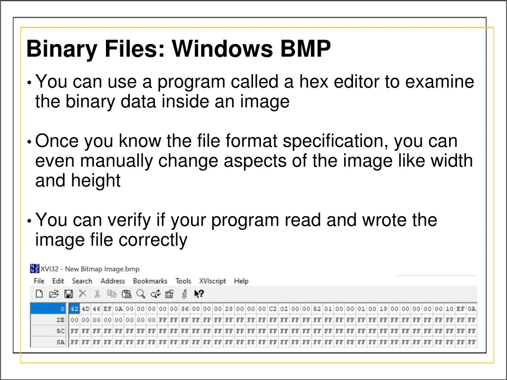 binary files windows bmp 2