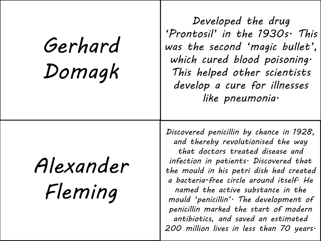 developed the drug prontosil in the 1930s this