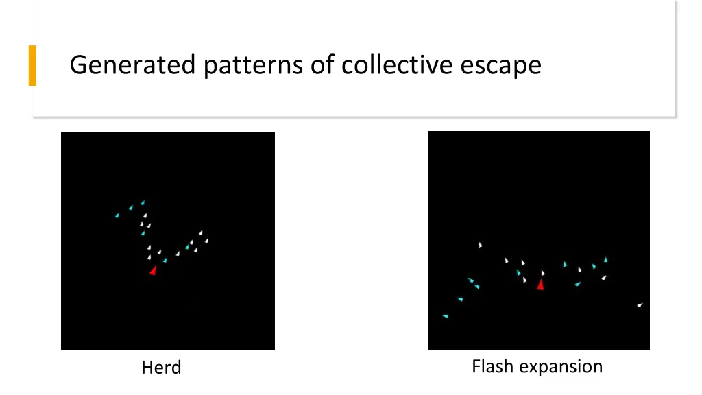 generated patterns of collective escape 1
