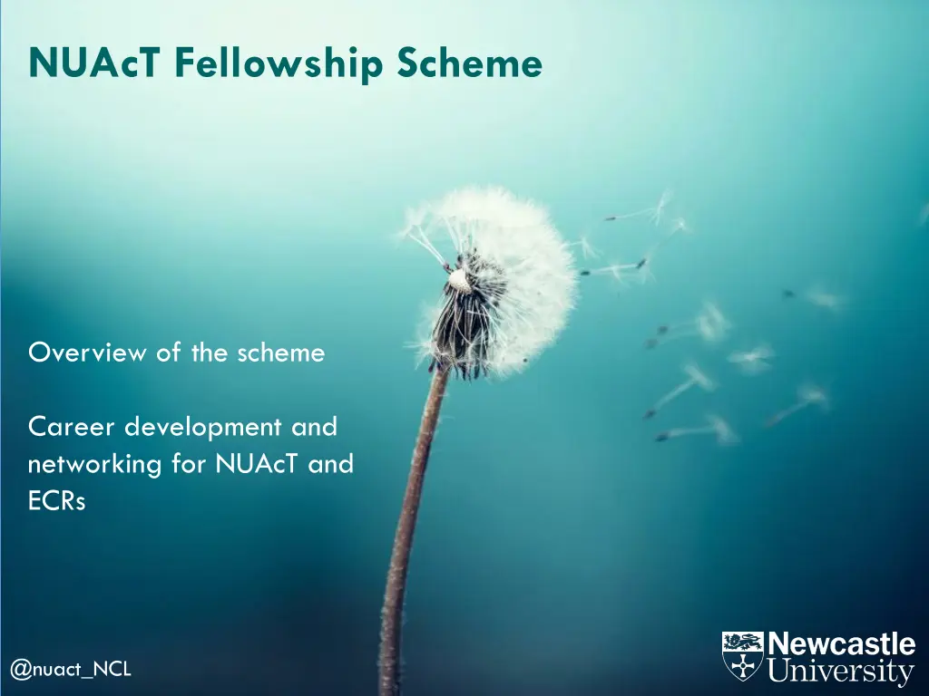 nuact fellowship scheme 1