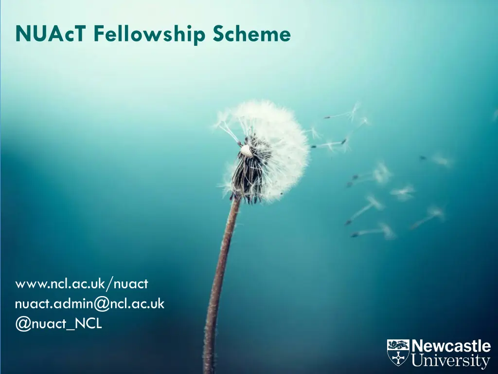 nuact fellowship scheme 2