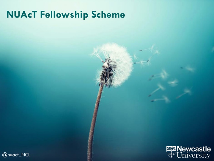 nuact fellowship scheme