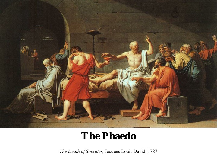 the phaedo