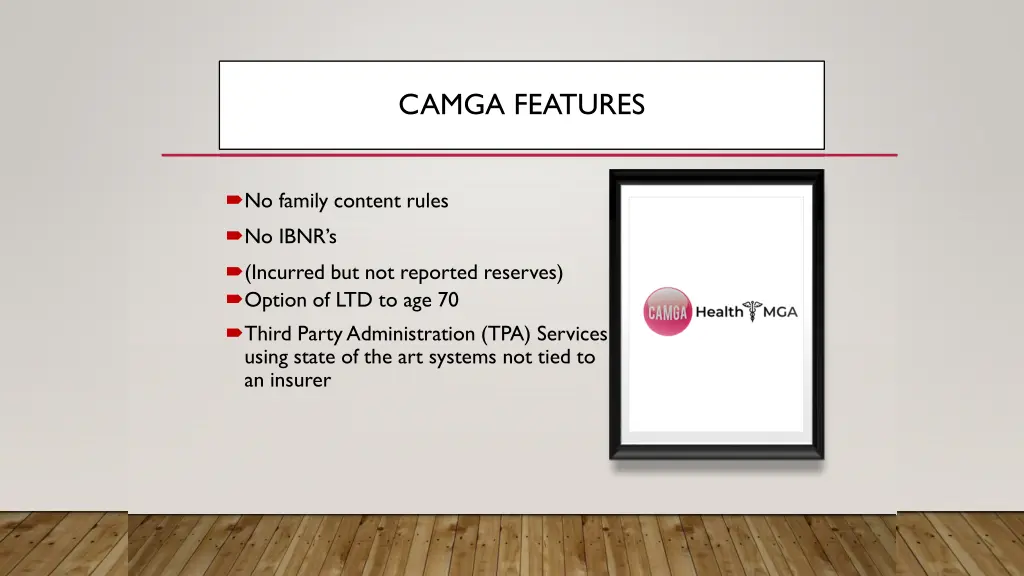 camga features