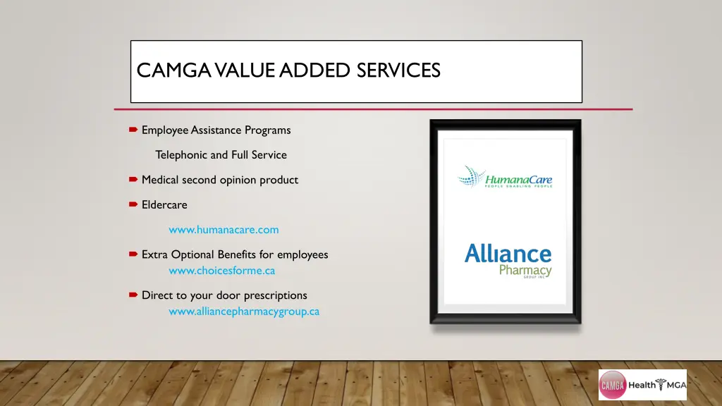 camga value added services