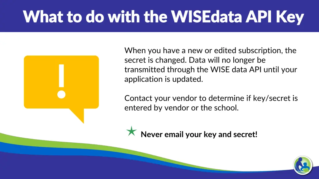 what to do with the wisedata api key what