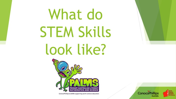 what do stem skills look like