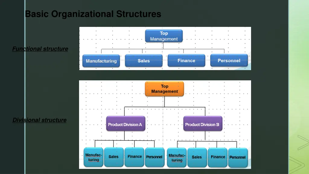 basic organizational structures