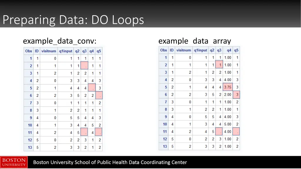 preparing data do loops 2