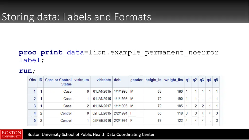 storing data labels and formats 3