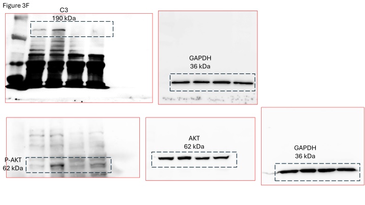 figure 3f