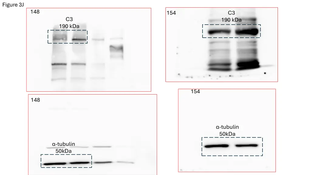 figure 3j
