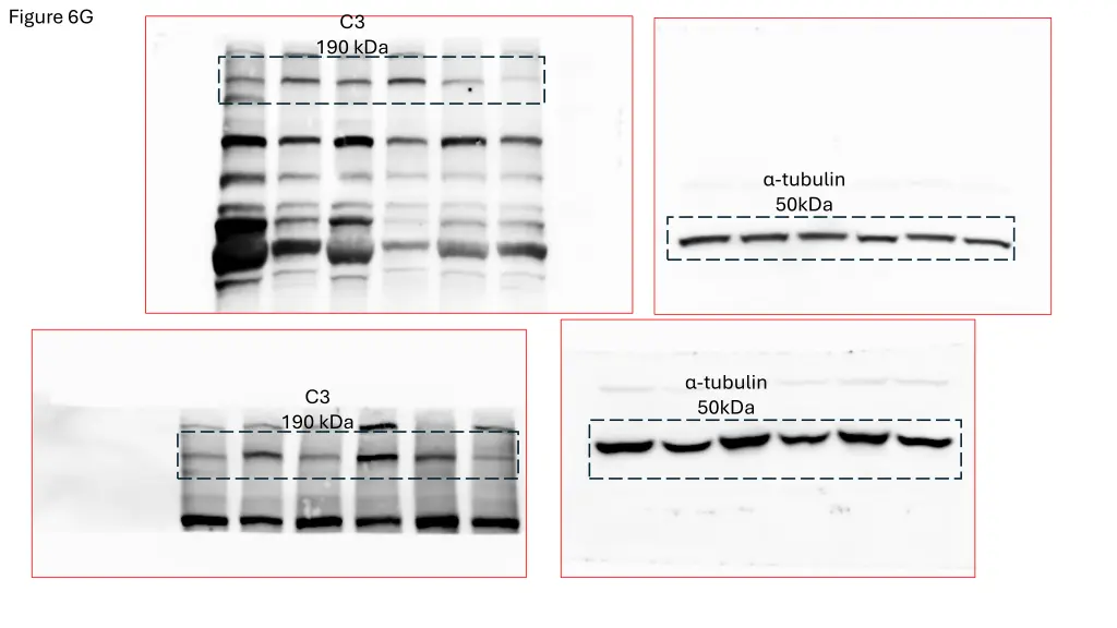 figure 6g