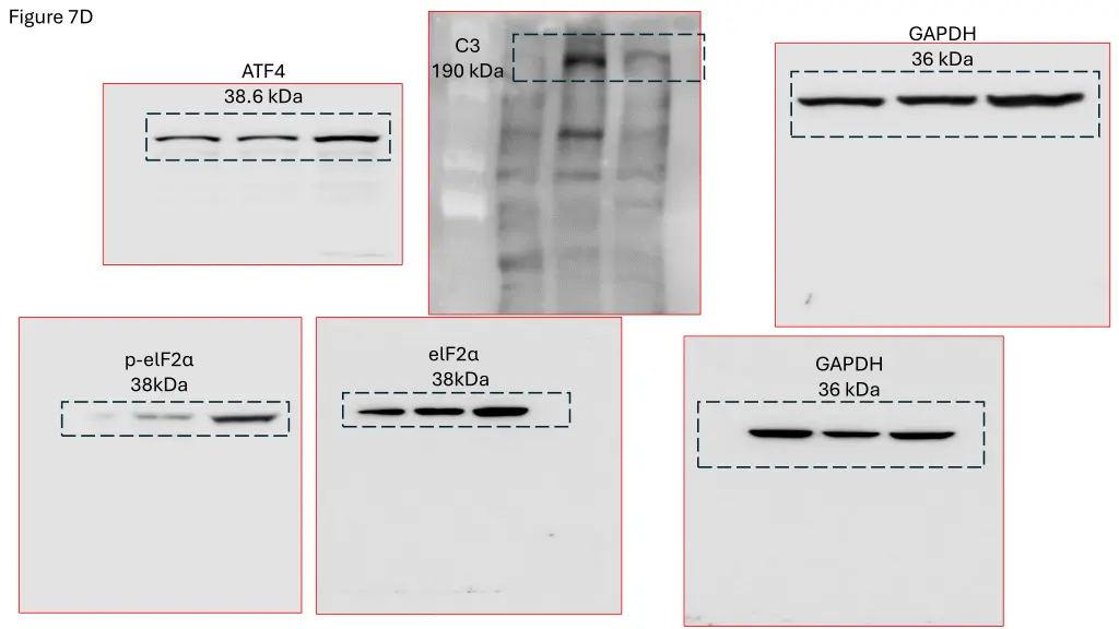 figure 7d