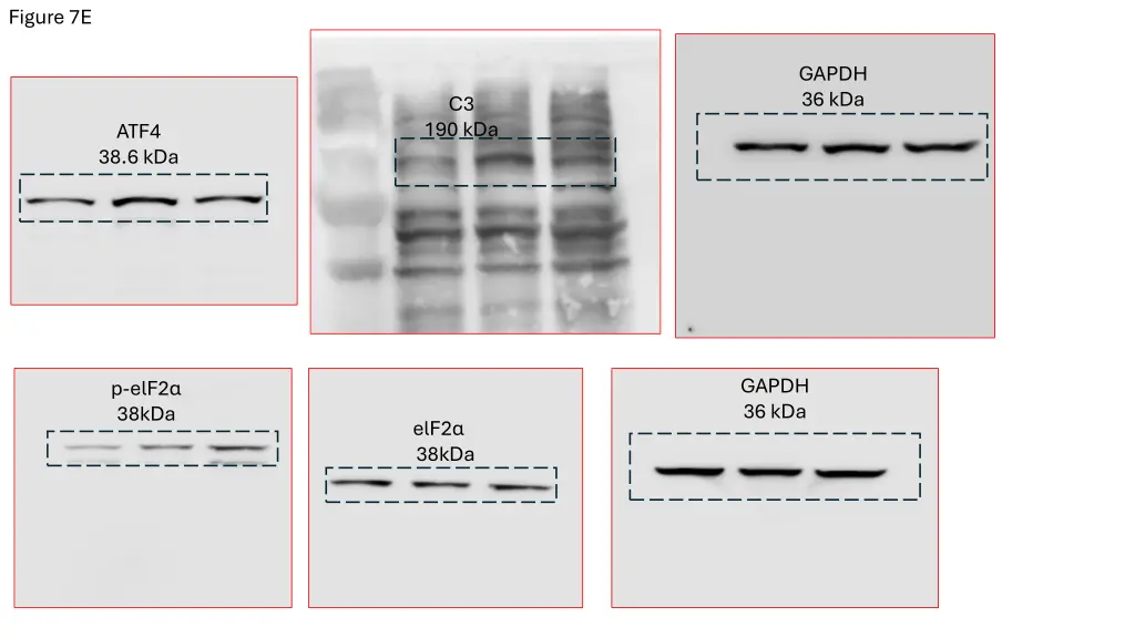 figure 7e