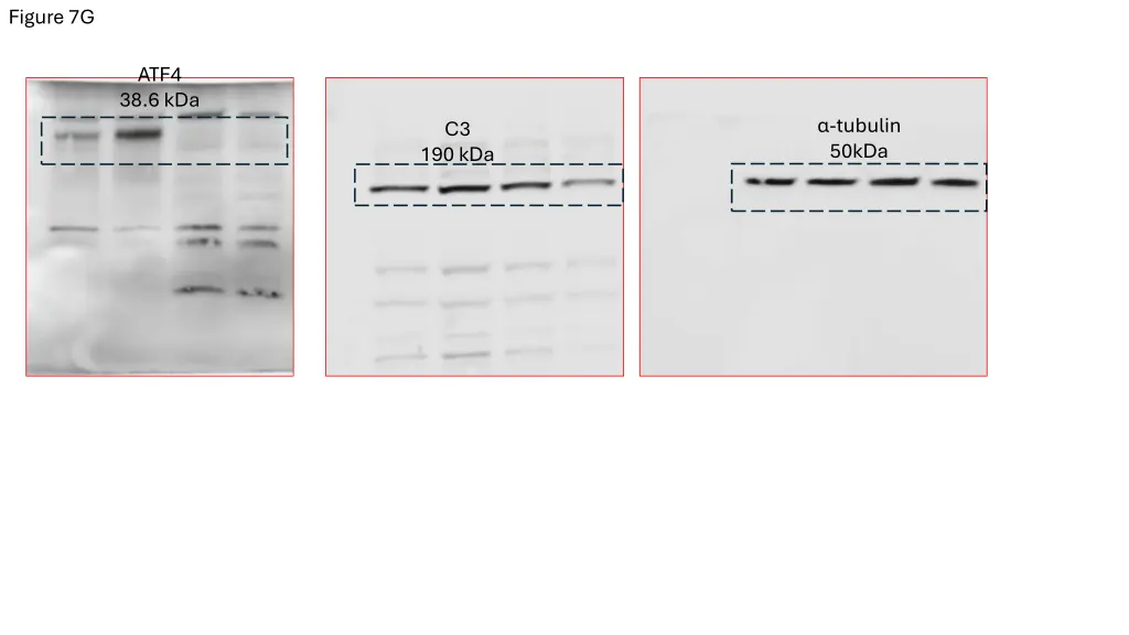 figure 7g