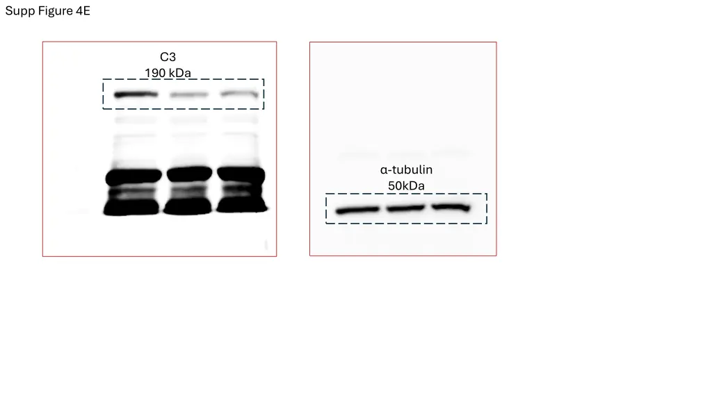 supp figure 4e