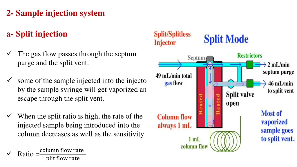 2 sample injection system