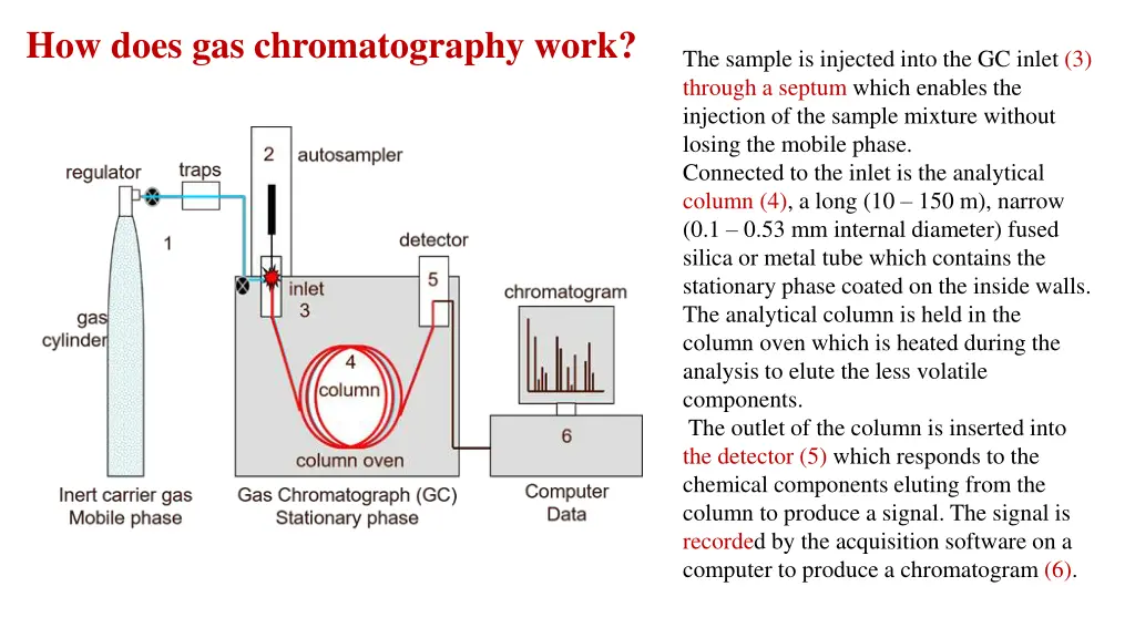 how does gas chromatography work
